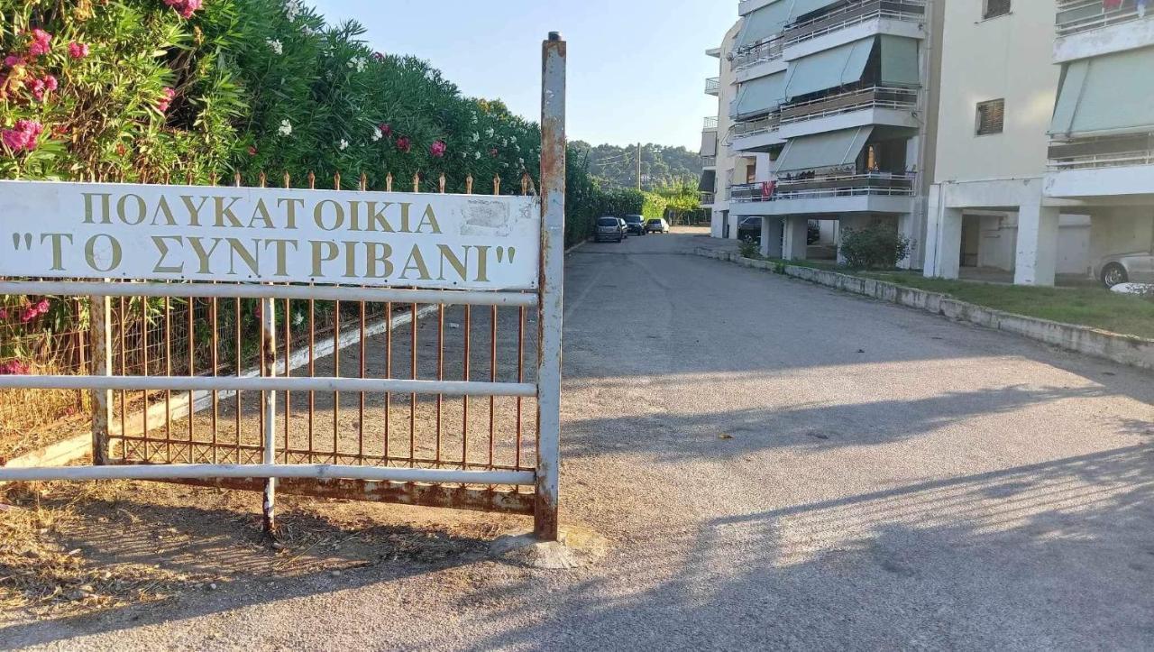 Apartment With Sea View Oropos Bagian luar foto